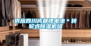 供应四川成都锂电池＊转轮式除湿机组