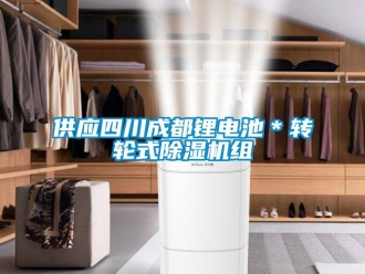 常见问题供应四川成都锂电池＊转轮式除湿机组