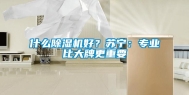 什么除湿机好？苏宁：专业比大牌更重要
