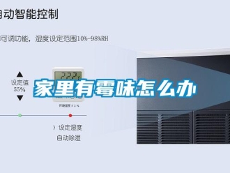 常见问题家里有霉味怎么办