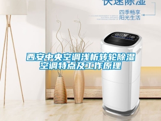 常见问题西安中央空调浅析转轮除湿空调特点及工作原理