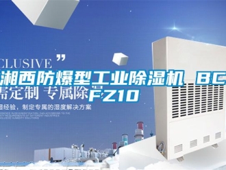 企业新闻湘西防爆型工业除湿机 BCFZ10