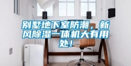 别墅地下室防潮，新风除湿一体机大有用处！