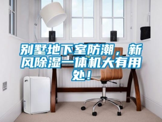 常见问题别墅地下室防潮，新风除湿一体机大有用处！