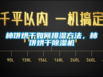 行业新闻柿饼烘干如何排湿方法，柿饼烘干除湿机