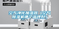 空气净化加湿器（空气除湿机哪个品牌好）