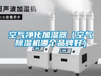 企业新闻空气净化加湿器（空气除湿机哪个品牌好）