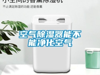 行业新闻空气除湿器能不能净化空气