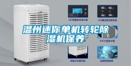 温州迷你单机转轮除湿机保养