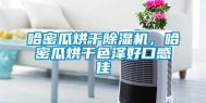 哈密瓜烘干除湿机，哈密瓜烘干色泽好口感佳