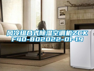 行业新闻风冷组合式除湿空调机ZCKF40-802022-01-19