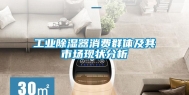 工业除湿器消费群体及其市场现状分析