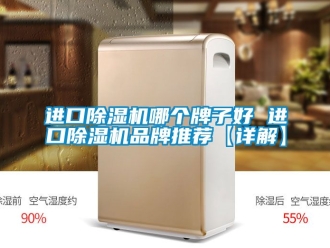企业新闻进口除湿机哪个牌子好 进口除湿机品牌推荐【详解】
