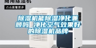 除湿机能除湿净化兼顾吗 净化空气效果好的除湿机品牌