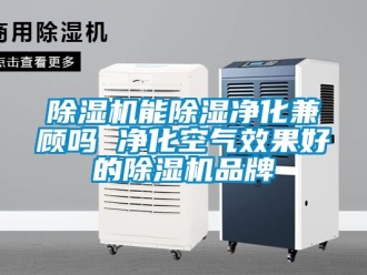 企业新闻除湿机能除湿净化兼顾吗 净化空气效果好的除湿机品牌