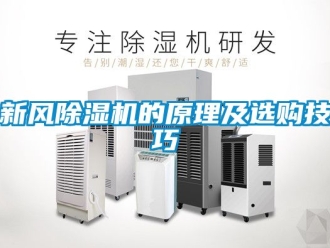 常见问题新风除湿机的原理及选购技巧