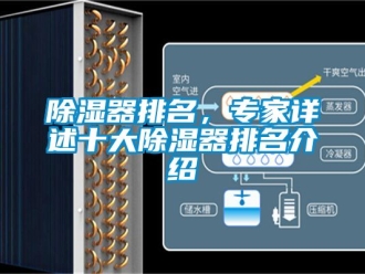 行业新闻除湿器排名，专家详述十大除湿器排名介绍