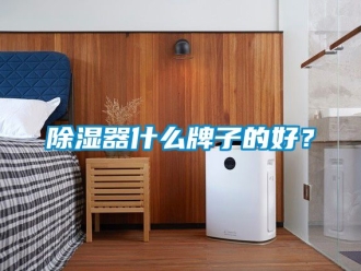 行业新闻除湿器什么牌子的好？