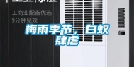 梅雨季节，白蚁肆虐