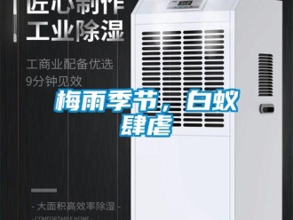 行业新闻梅雨季节，白蚁肆虐