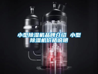 企业新闻小型除湿机品牌介绍 小型除湿机价格说明