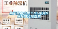 荆门室内小型＊SL系列58升净化除湿机