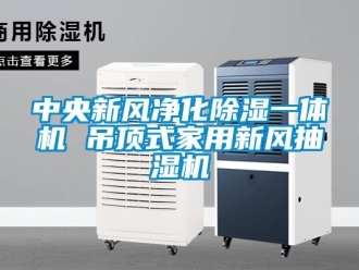 常见问题中央新风净化除湿一体机 吊顶式家用新风抽湿机