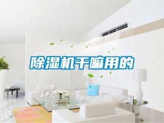 行业新闻除湿机干嘛用的