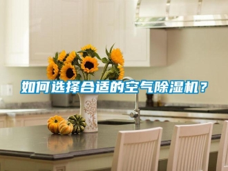 行业新闻如何选择合适的空气除湿机？