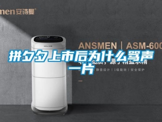 行业新闻拼夕夕上市后为什么骂声一片