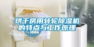 烘干房用转轮除湿机的特点与工作原理