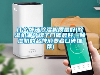 企业新闻什么牌子除湿机质量好(除湿机哪个牌子口碑最好，除湿机的品牌消费者口碑推荐)