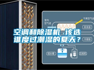 行业新闻空调和除湿机 该选谁度过潮湿的夏天？