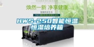 HWS-250智能恒温恒湿培养箱