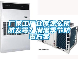 企业新闻厂家工厂仓库怎么预防发霉？潮湿季节防霉方案