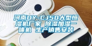 河南DY-CJ50大型恒湿机厂家 除湿加湿一体机 生产销售安装