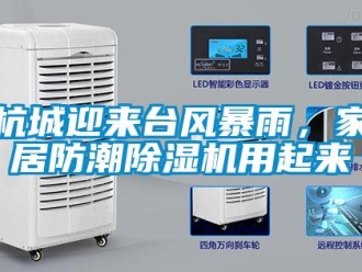 行业新闻杭城迎来台风暴雨，家居防潮除湿机用起来