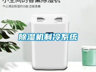 企业新闻除湿机制冷系统