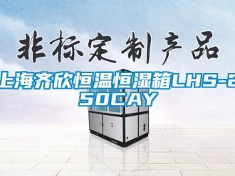 知识百科上海齐欣恒温恒湿箱LHS-250CAY