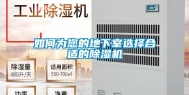 如何为您的地下室选择合适的除湿机