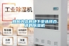 如何为您的地下室选择合适的除湿机