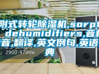 常见问题吸附式转轮除湿机,sorption dehumidifiers,音标,读音,翻译,英文例句,英语词典