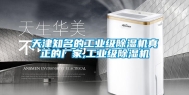 天津知名的工业级除湿机真正的厂家,工业级除湿机