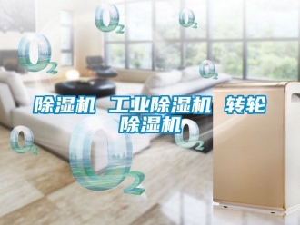 常见问题除湿机 工业除湿机 转轮除湿机