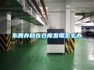 常见问题东西存放在仓库发霉怎么办