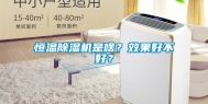 恒温除湿机是啥？效果好不好？