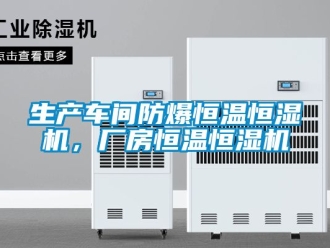 知识百科生产车间防爆恒温恒湿机，厂房恒温恒湿机