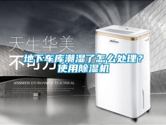 行业新闻地下车库潮湿了怎么处理？使用除湿机