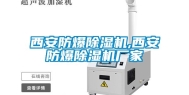 西安防爆除湿机,西安防爆除湿机厂家