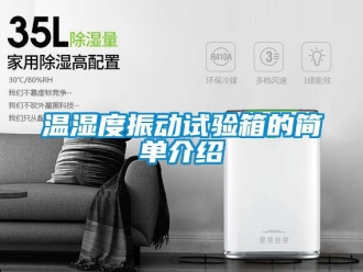 企业新闻温湿度振动试验箱的简单介绍